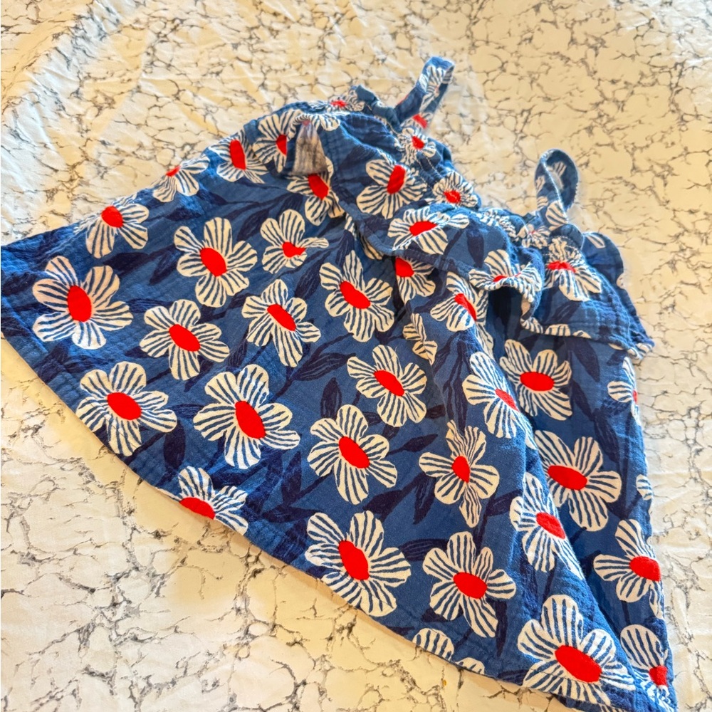 Hanna Andersson Blue and Red Floral Top